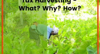 Tax Harvesting – Smart way to reduce taxes