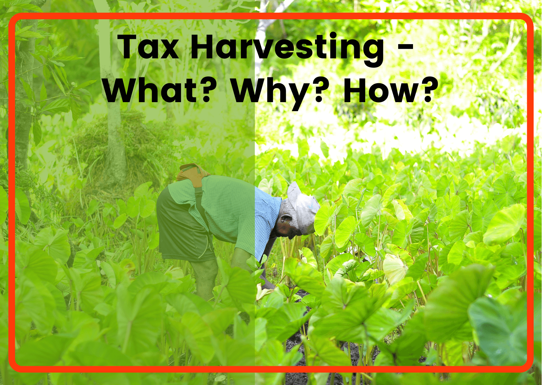 Tax Harvesting Smart Way To Reduce Taxes Save More Money
