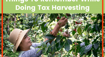 Things To Remember While Doing Tax Harvesting